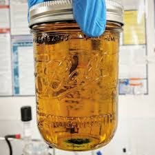Read more about the article thcv distillate